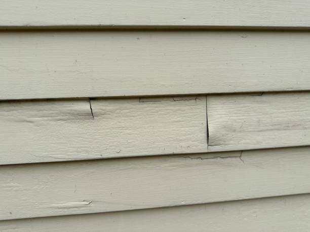 Best Insulated Siding Installation  in Ramseur, NC